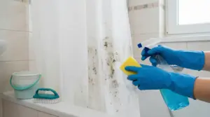 Mani con guanti che puliscono la tenda della doccia con muffa usando spray e spugna